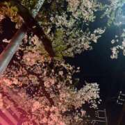 ヒメ日記 2025/04/18 22:38 投稿 もち 静岡♂風俗の神様 静岡店