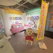 もち お久しぶりです 静岡♂風俗の神様 静岡店