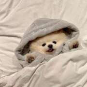 ヒメ日記 2025/07/14 10:13 投稿 ゆゆ アラカルト