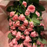 ヒメ日記 2025/09/05 11:41 投稿 ゆゆ アラカルト