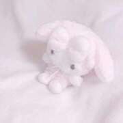 ヒメ日記 2025/09/11 17:15 投稿 ゆゆ アラカルト