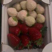 ヒメ日記 2026/03/18 02:55 投稿 ゆゆ アラカルト