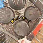 ヒメ日記 2025/07/16 11:05 投稿 杉崎あやか 池袋手コキパラダイス　見習い天使とイタズラ小悪魔