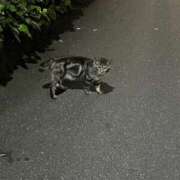 ヒメ日記 2025/07/29 10:05 投稿 杉崎あやか 池袋手コキパラダイス　見習い天使とイタズラ小悪魔