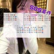 ヒメ日記 2025/03/19 19:26 投稿 みう コートダジュール