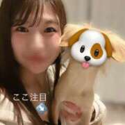 ヒメ日記 2025/04/16 19:32 投稿 みう コートダジュール