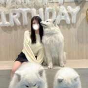 みう 🫧仲間入り🫧 コートダジュール