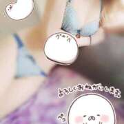 ヒメ日記 2026/02/22 09:23 投稿 月島よみ THE痴漢電車.com