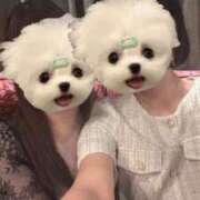 ヒメ日記 2025/03/28 21:51 投稿 えみり クラブアリア -CLUB ARIA-