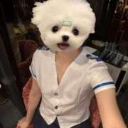 ヒメ日記 2025/04/10 20:07 投稿 えみり クラブアリア -CLUB ARIA-