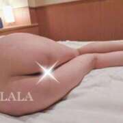 ヒメ日記 2025/01/29 14:43 投稿 らら Secret　select