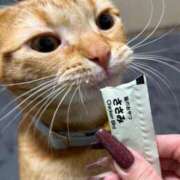 LEMON 本日早退させていただきました。 GINGIRA☆TOKYO～ギンギラ東京～