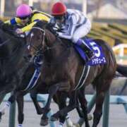 ヒメ日記 2024/12/22 14:19 投稿 杏珠★ Club夢