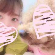 ヒメ日記 2025/08/01 00:21 投稿 杏珠★ Club夢