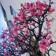 ヒメ日記 2026/03/14 17:02 投稿 杏珠★ Club夢