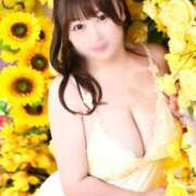 ヒメ日記 2026/07/15 14:00 投稿 杏珠★ Club夢