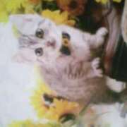 あきな あきなです🌟 完熟ばなな八王子