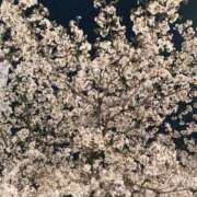 ヒメ日記 2025/04/08 22:31 投稿 山下（やました） 熟女の風俗最終章 名古屋店