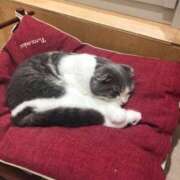 ヒメ日記 2025/01/03 12:06 投稿 浜崎 モアグループ春日部人妻城