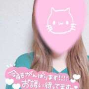 ヒメ日記 2025/04/10 15:13 投稿 あやか 京都ホテヘル倶楽部