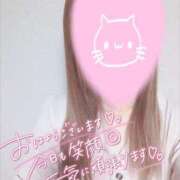 ヒメ日記 2025/06/28 14:05 投稿 あやか 京都ホテヘル倶楽部