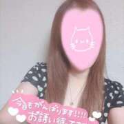 ヒメ日記 2025/08/29 12:16 投稿 あやか 京都ホテヘル倶楽部