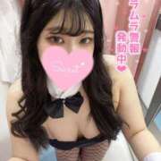 ヒメ日記 2025/04/06 03:30 投稿 かなう ドMバスターズ 京都店