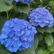 ヒメ日記 2025/06/11 23:02 投稿 かなう ドMバスターズ 京都店