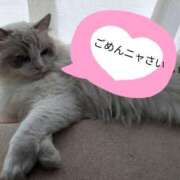 ヒメ日記 2025/02/18 21:01 投稿 りの 大奥 梅田店