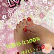 ヒメ日記 2024/12/18 07:05 投稿 みれい 性腺熟女100％（デリヘル市場）