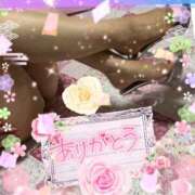 ヒメ日記 2025/01/16 07:10 投稿 みれい 性腺熟女100％（デリヘル市場）