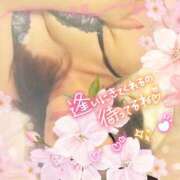 ヒメ日記 2025/03/05 07:25 投稿 みれい 性腺熟女100％（デリヘル市場）