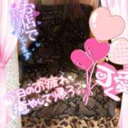 ヒメ日記 2025/03/05 20:15 投稿 みれい 性腺熟女100％（デリヘル市場）