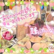 ヒメ日記 2025/03/12 11:45 投稿 みれい 性腺熟女100％（デリヘル市場）