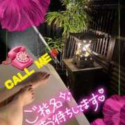 ヒメ日記 2025/03/16 07:55 投稿 みれい 性腺熟女100％（デリヘル市場）