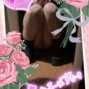 ヒメ日記 2025/03/19 16:20 投稿 みれい 性腺熟女100％（デリヘル市場）