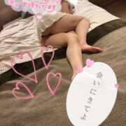 ヒメ日記 2025/04/23 12:40 投稿 みれい 性腺熟女100％（デリヘル市場）