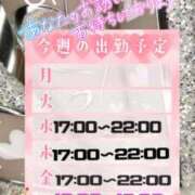ヒメ日記 2025/05/19 07:30 投稿 みれい 性腺熟女100％（デリヘル市場）