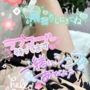 ヒメ日記 2025/06/11 07:05 投稿 みれい 性腺熟女100％（デリヘル市場）