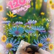 ヒメ日記 2025/06/27 18:00 投稿 みれい 性腺熟女100％（デリヘル市場）