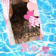 ヒメ日記 2025/09/16 12:05 投稿 みれい 性腺熟女100％（デリヘル市場）