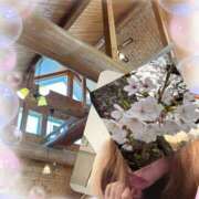 ヒメ日記 2026/04/16 09:10 投稿 みれい 性腺熟女100％本店（デリヘル市場）