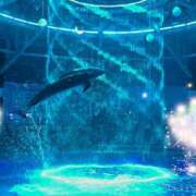 ヒメ日記 2024/12/09 01:34 投稿 おと 東京人妻セレブリティ（ユメオト）