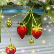 ヒメ日記 2024/12/18 17:10 投稿 おと 東京人妻セレブリティ（ユメオト）