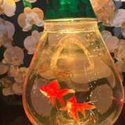 ヒメ日記 2024/12/20 19:10 投稿 おと 東京人妻セレブリティ（ユメオト）