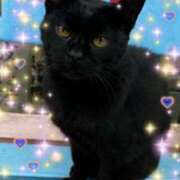 ヒメ日記 2024/12/20 22:30 投稿 おと 東京人妻セレブリティ（ユメオト）