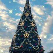 ヒメ日記 2024/12/24 12:00 投稿 おと 東京人妻セレブリティ（ユメオト）