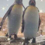 ヒメ日記 2025/01/16 16:40 投稿 おと 東京人妻セレブリティ（ユメオト）