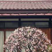 ヒメ日記 2025/03/04 16:21 投稿 良(りょう) 熟女出逢い会 『百合の園』 五反田店