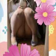 ヒメ日記 2025/04/16 16:30 投稿 みれい 性腺熟女100％鶯谷（デリヘル市場）